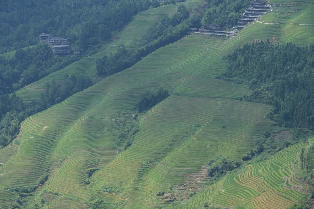 Longji Terraced Fields