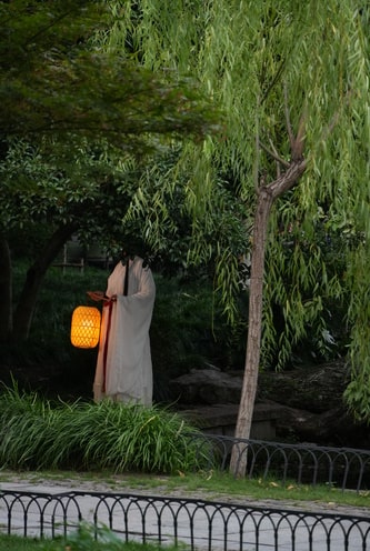 Image from trip
