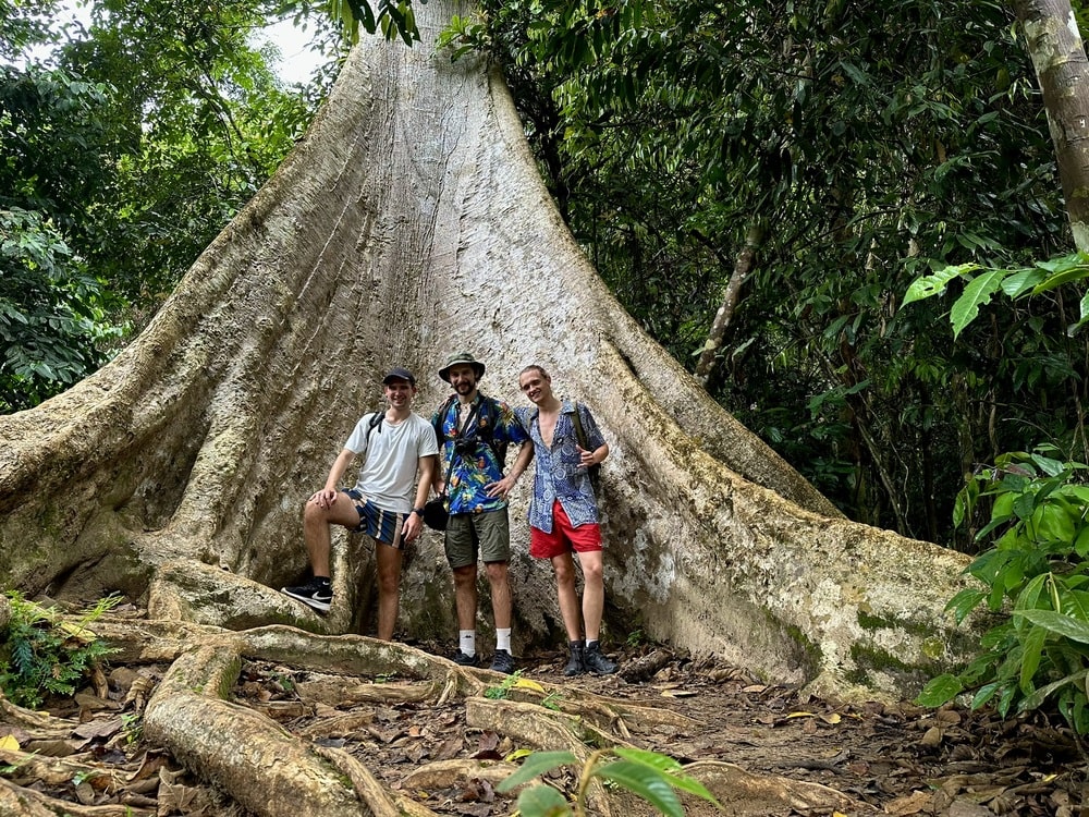 River jungle