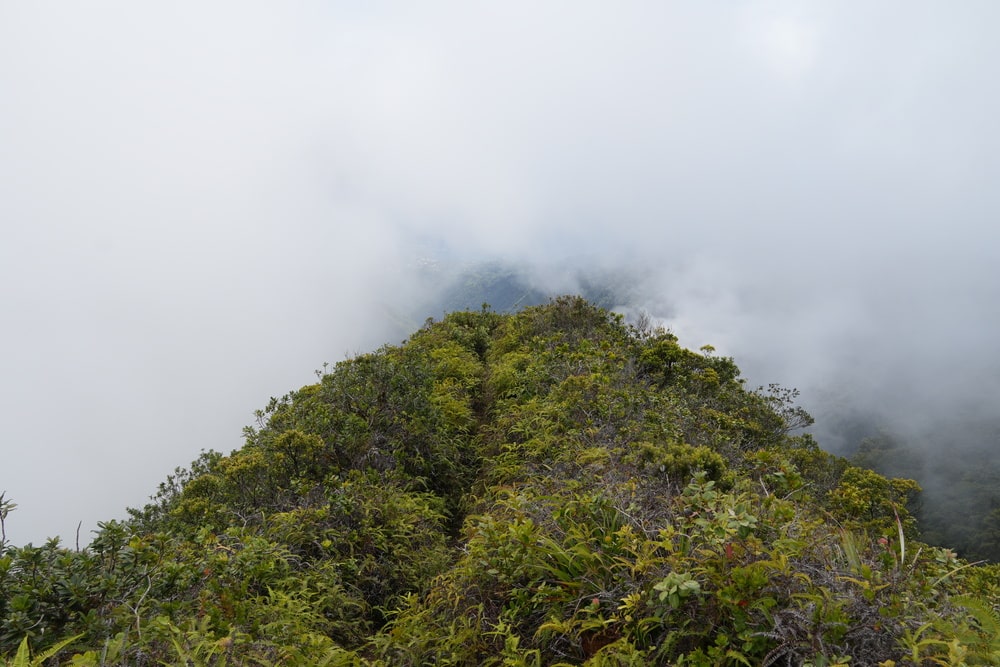 Mount Aorai trail