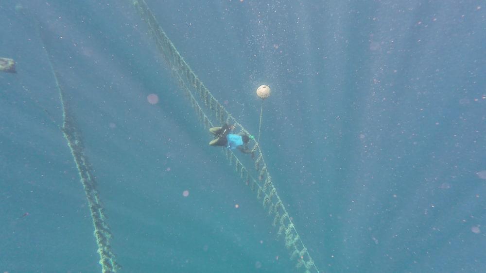 Temu attaching buoys