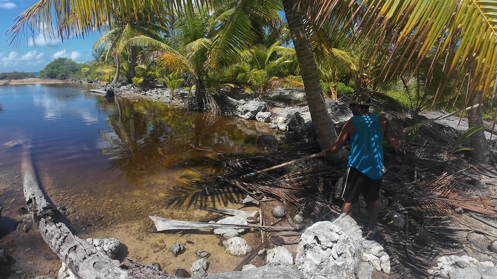 Crab catching