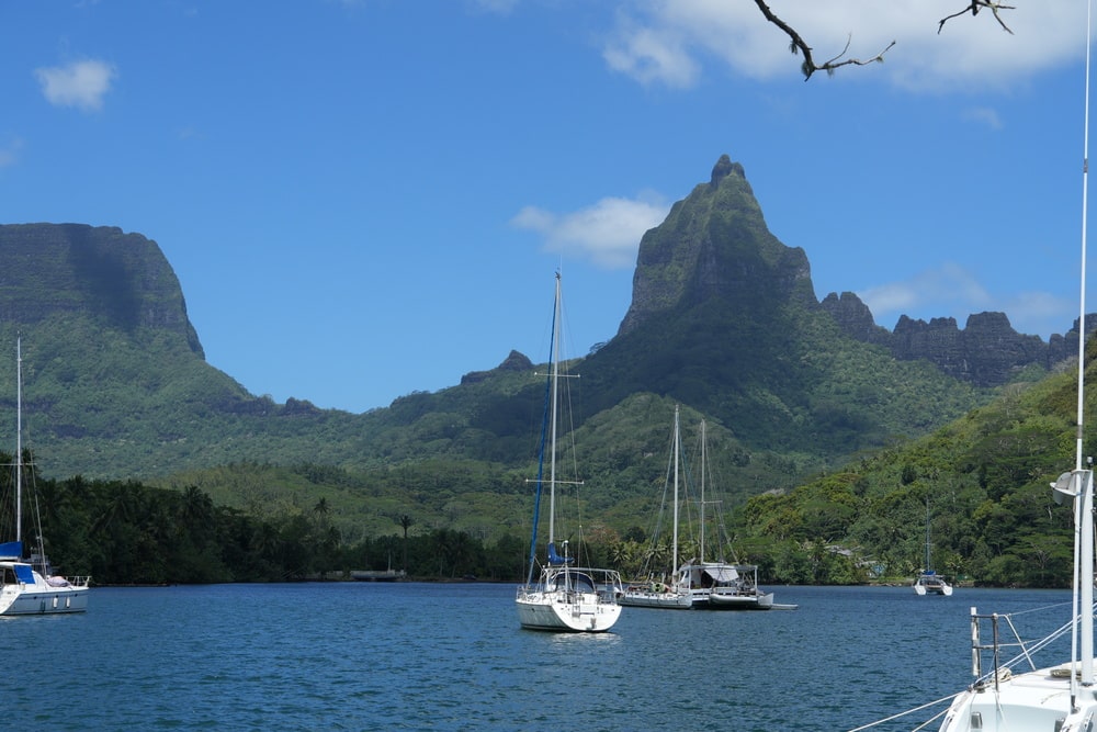 Opunohu Bay